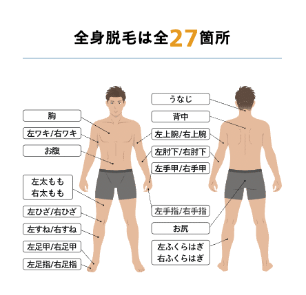 レジーナクリニックオム全身の施術箇所