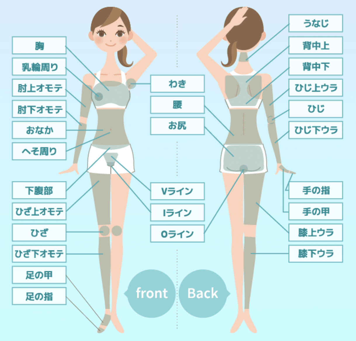 ヘラスクリニック脱毛可能部位