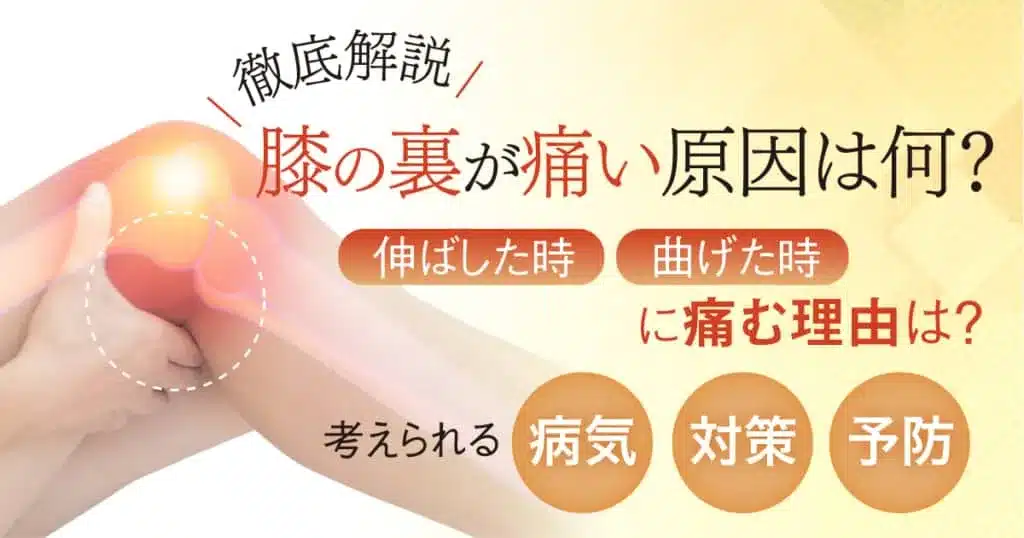 膝の裏が痛い原因は何？伸ばした時や曲げた時に痛む理由や考えられる病気と対策も解説！