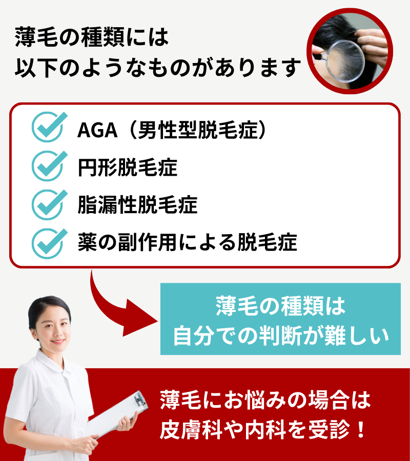 薄毛の種類