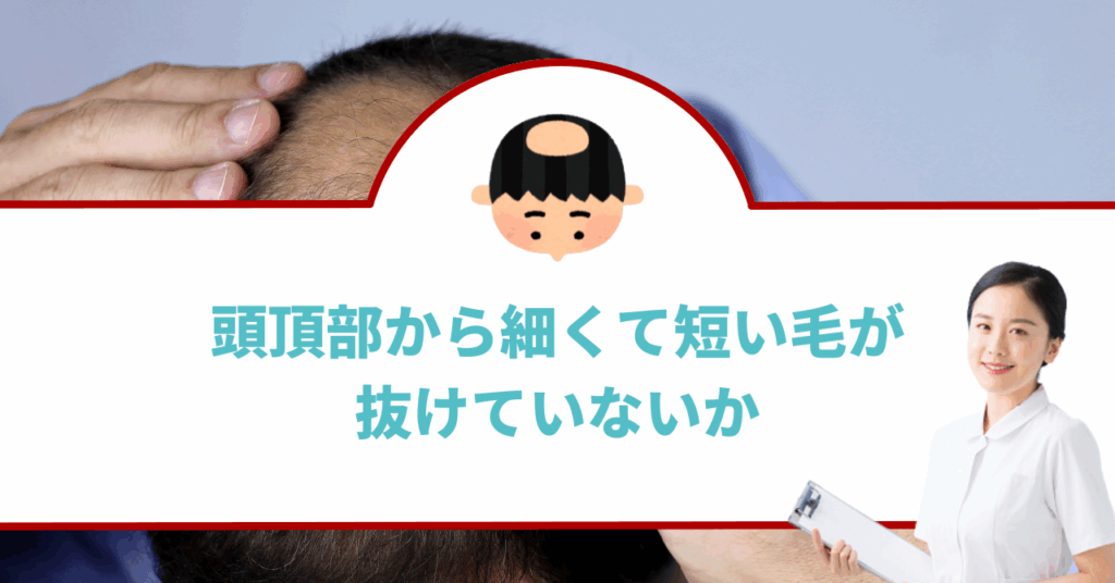 頭頂部から細くて短い毛が抜けていないか