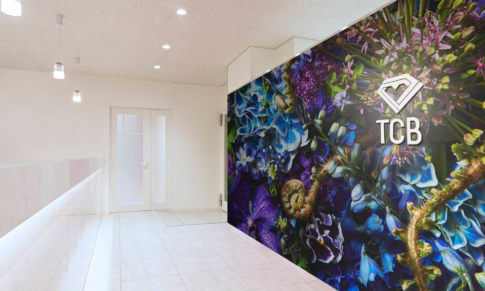 TCB東京中央美容外科 品川院 院内画像2