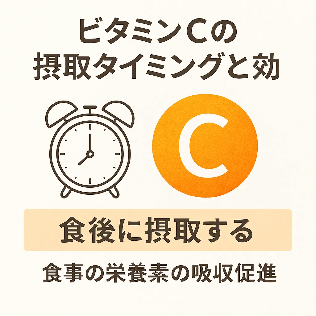ワカサプリのビタミンCの摂取タイミングと効果